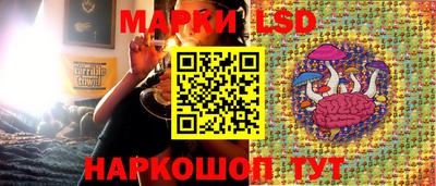 spice Кунгур
