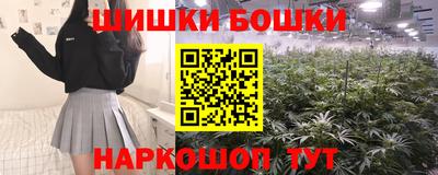 spice Кунгур